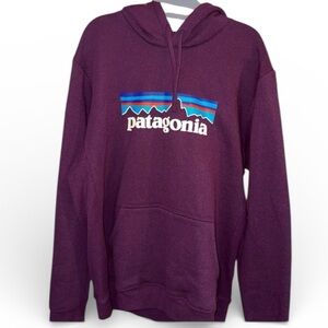 Patagonia Purple Hoodie Oversized, Thick, Warm & COZY Multicolor Logo Womens XL
